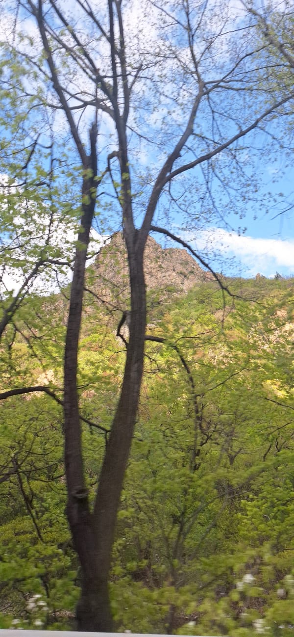 Tree-framed view of rocky landscape captured in Stara Kresna