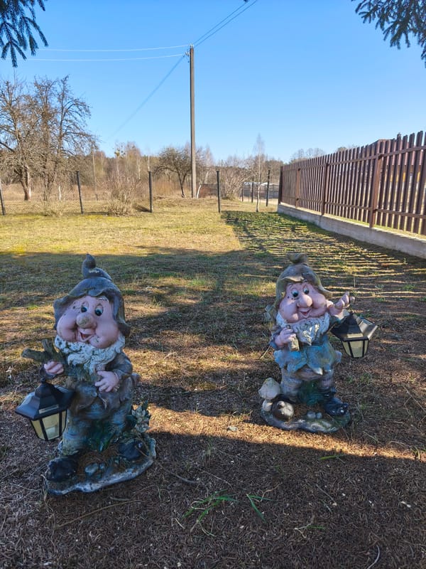Garden gnomes and decorations spotted in residential Belarus yard