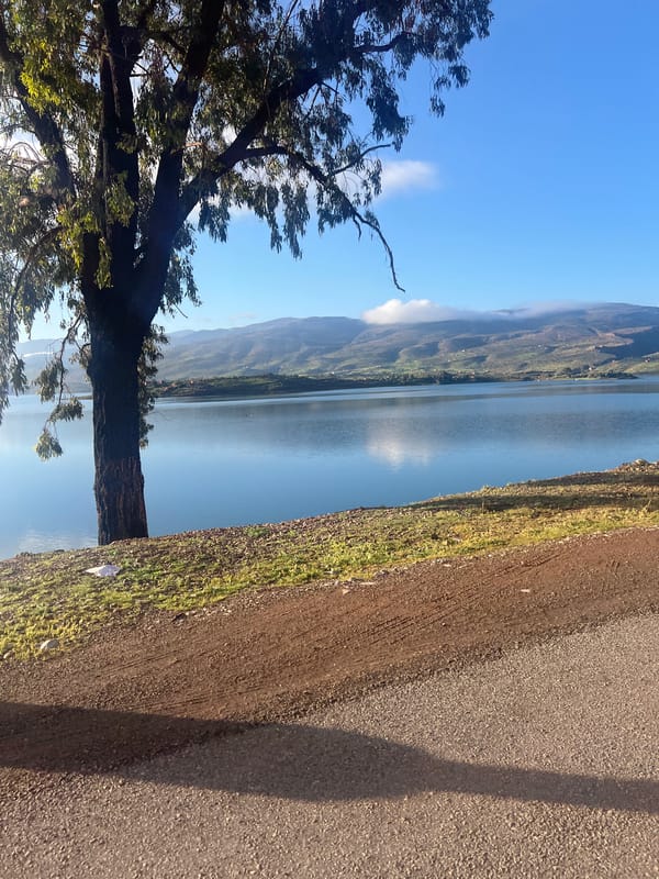 Scenic morning views captured at Bin El Ouidane reservoir, Morocco
