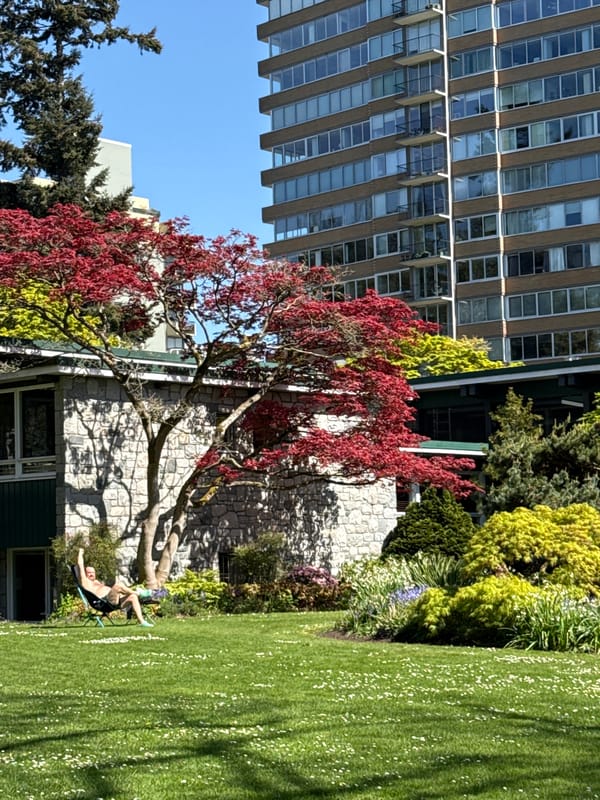 Sunny spring day observed in Vancouver urban park