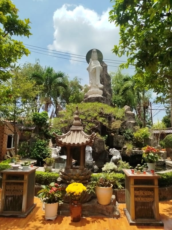 Daily Life Moments Captured in Dien Hong Ward Vietnam