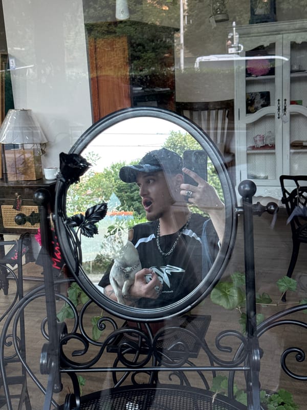 Mirror selfies documented across Sofia locations during evening hours