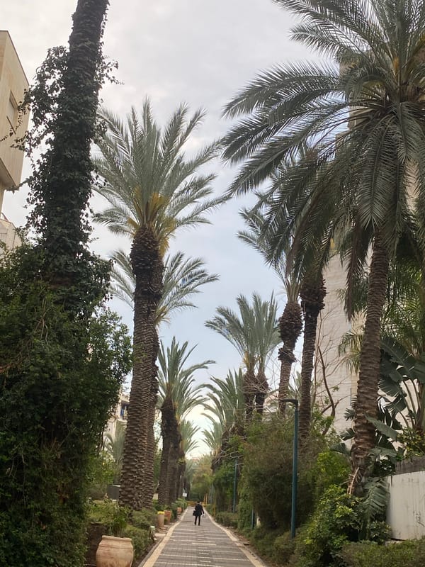 Daily life documented across northern Israeli cities afternoon walk