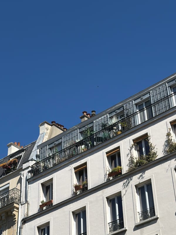 Parisian building facade captured under clear skies