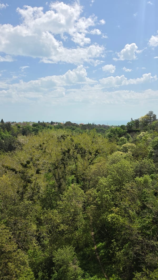 Aerial view captures Varna's green canopy and cityscape
