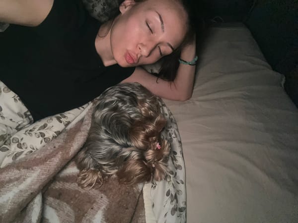 Evening reading session with pet companion in Burgas bedroom
