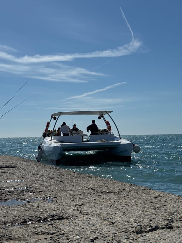 Families enjoy sunny Saturday morning at Sochi beaches and parks