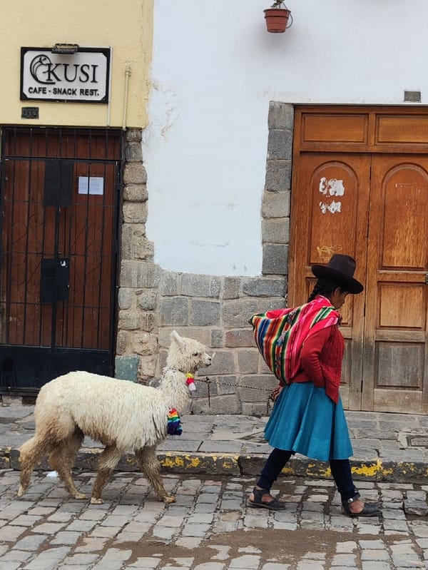 Woman walks with decorated llama on historic Cusco street
