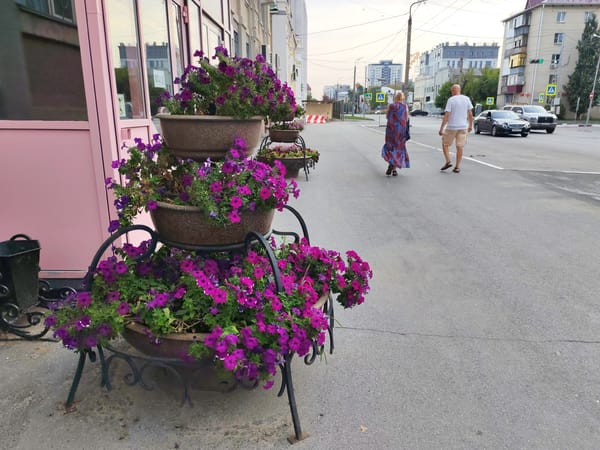 Urban sidewalk scene: plants, architecture, and street life