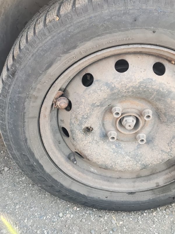 Morning coffee and snail spotted near cars in Burgas