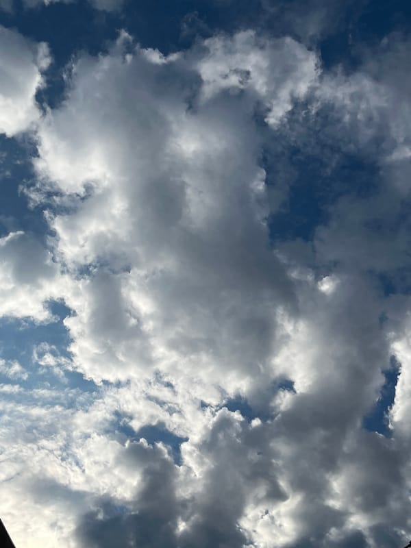 Morning clouds observed over Saint Petersburg skyline