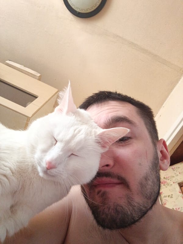 Moscow man takes affectionate selfies with white cat