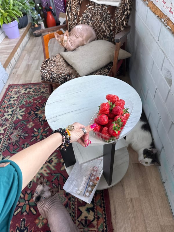 Woman enjoys strawberries in hammock with curious cats, Vladimir