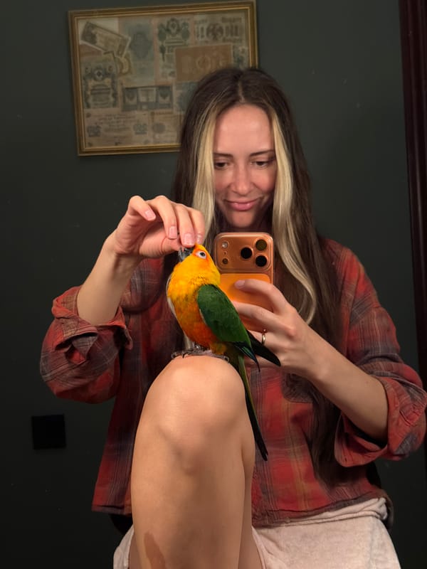 Afternoon in Khimki: parrot selfies and a park bench