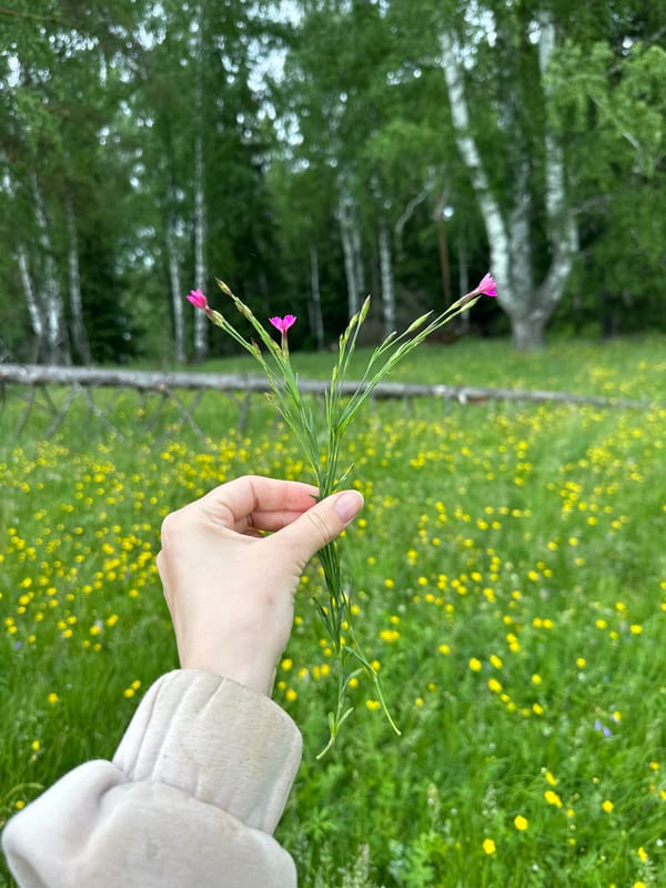 Woman and child gather wildflowers during nature walk in Russia