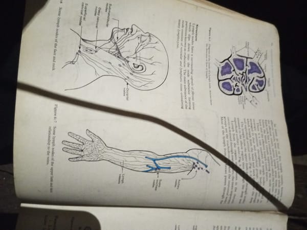 Anatomy textbook study session covering major body systems