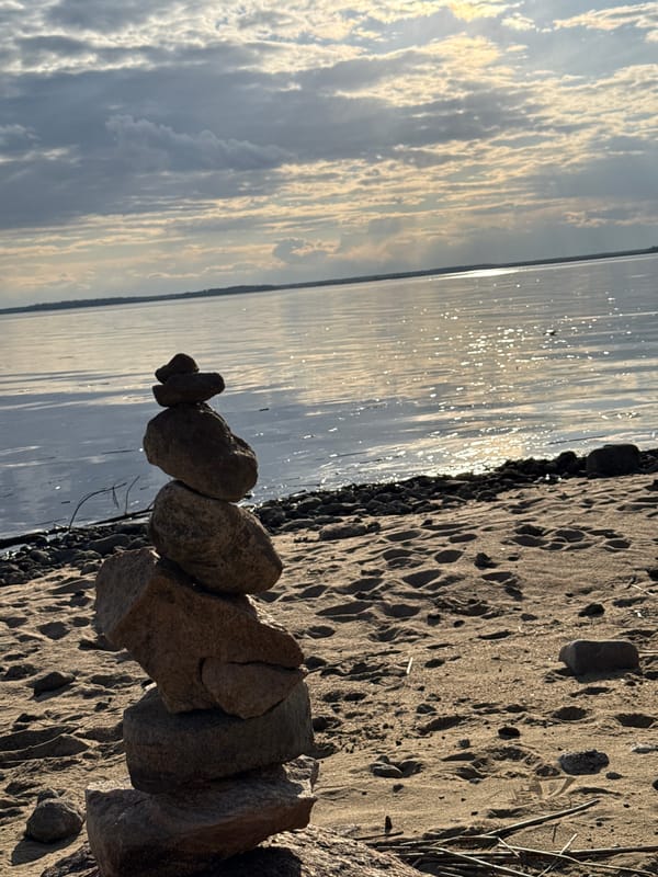 Stone cairn built on Russian beach captured by witness