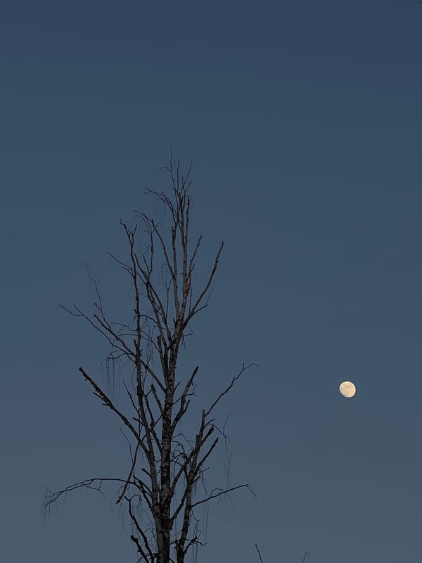 Winter landscapes photographed in Chaykovsky, Russia