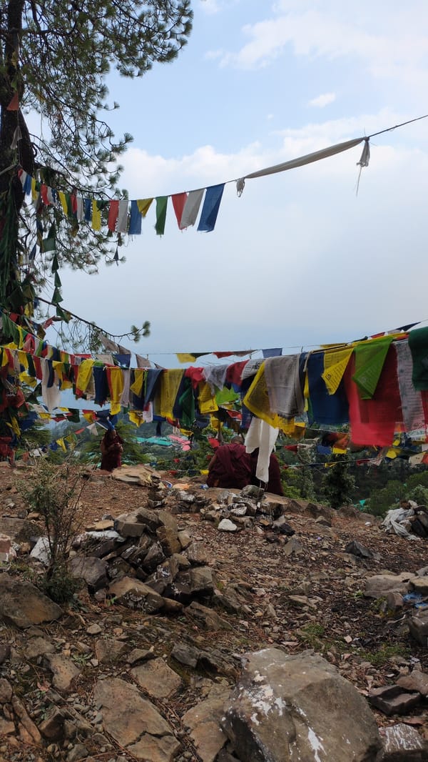 Prayer flags and forest path observed in Dharamkot