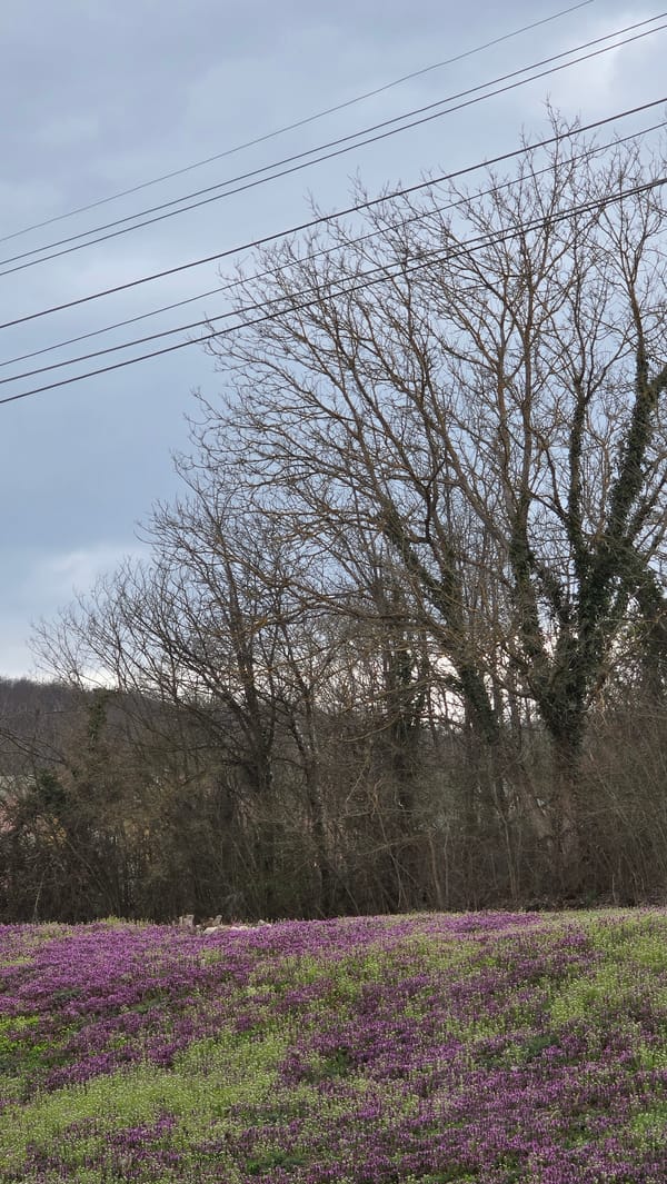 Rural power lines cross overcast sky in Lovech Bulgaria