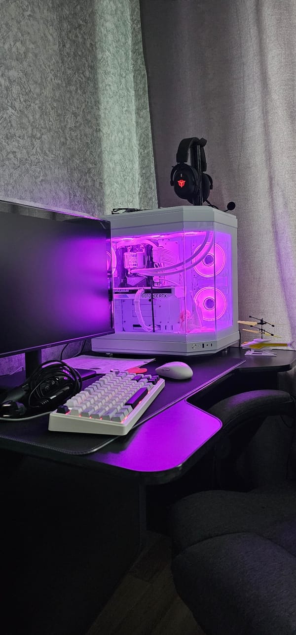 Cats, collectibles, and a glowing gaming setup at home