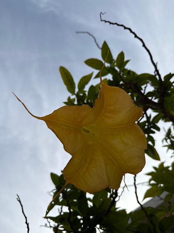 Morning life documented in Herceg Novi, Montenegro