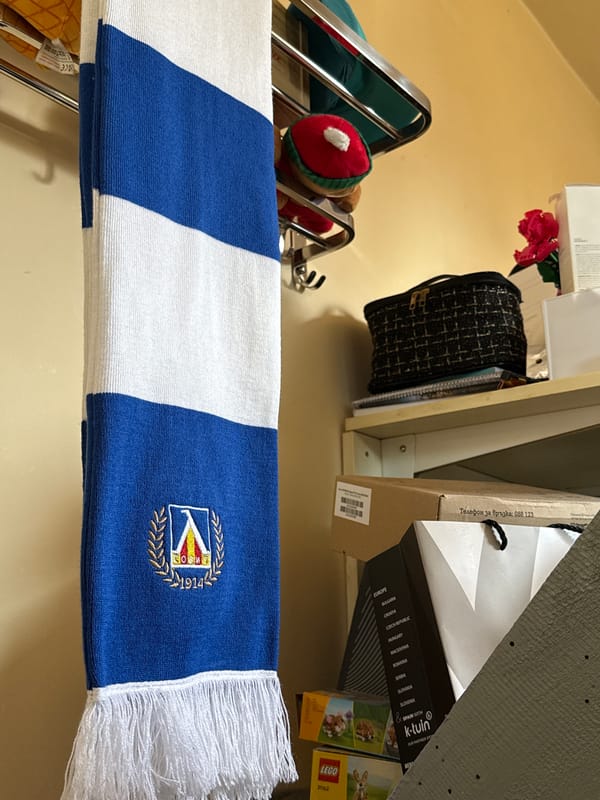 Sofia resident documents personal living space and collectibles display