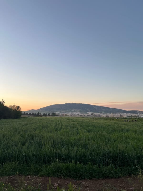 Rural agricultural scenes captured around Fez, Morocco