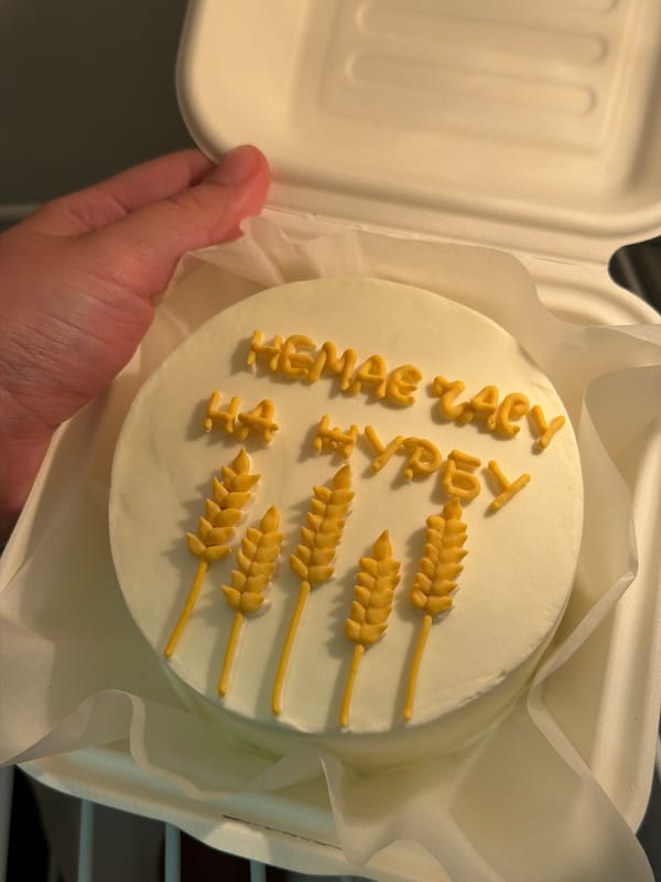 Tel Aviv residents document pets and household items Friday evening