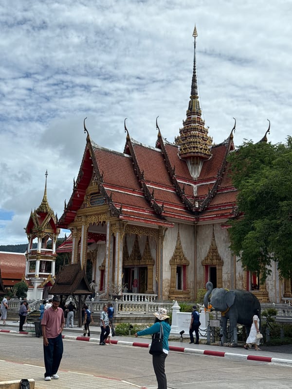Morning at Wat Chalong — temple grounds, golden spires, a husky in tow