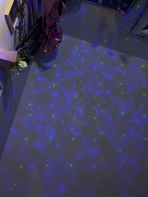 Pet owner relaxes with German Shepherd in star-lit Sofia bedroom