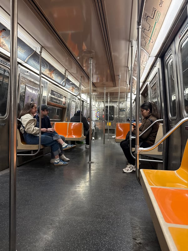 NYC subway passengers captured in routine Friday afternoon commute