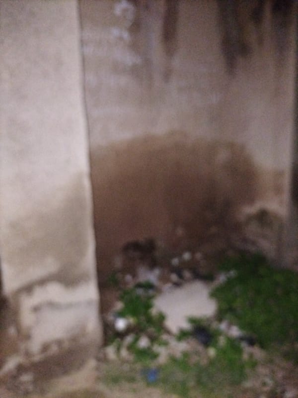 Witness documents weathered urban spaces across Jalingo, Nigeria