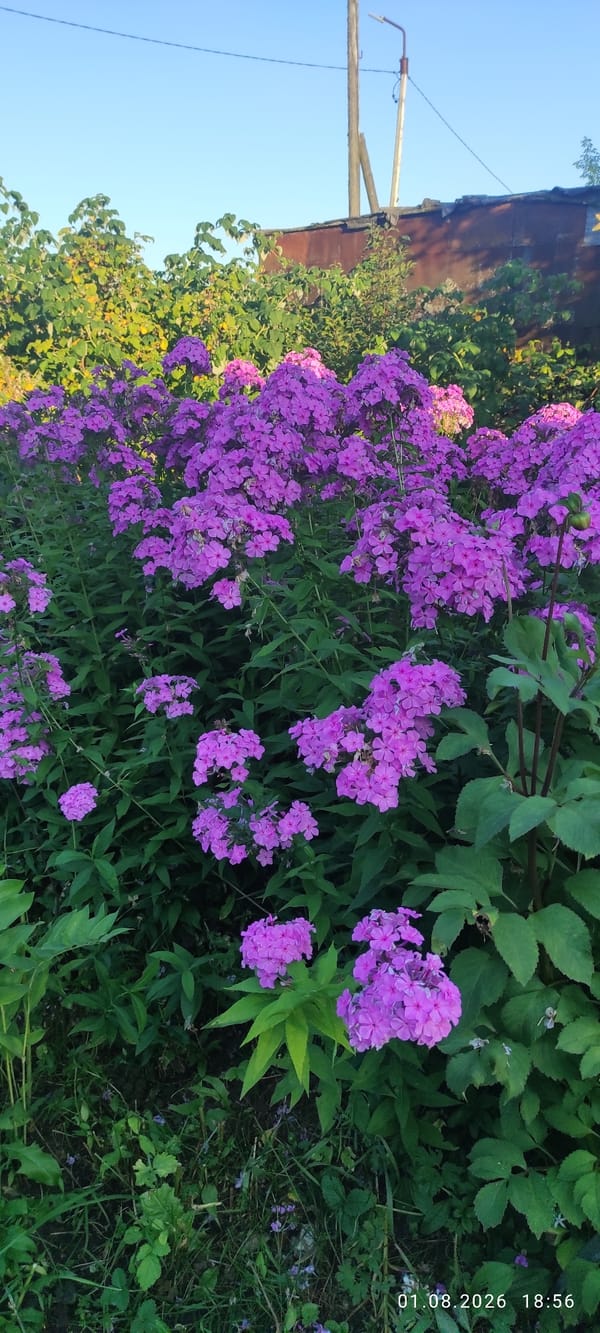 Event