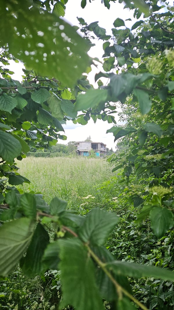 Evening stroll documented across Prešov, Slovakia neighborhoods