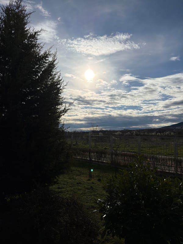 Morning scenes captured across Bulgarian villages