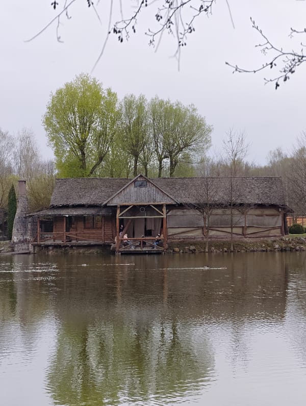 Rural Belarus farm animals and scenery documented by visitor
