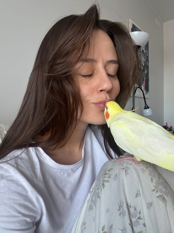 Woman shares tender moments with pet cockatiel in Krasnoyarsk home