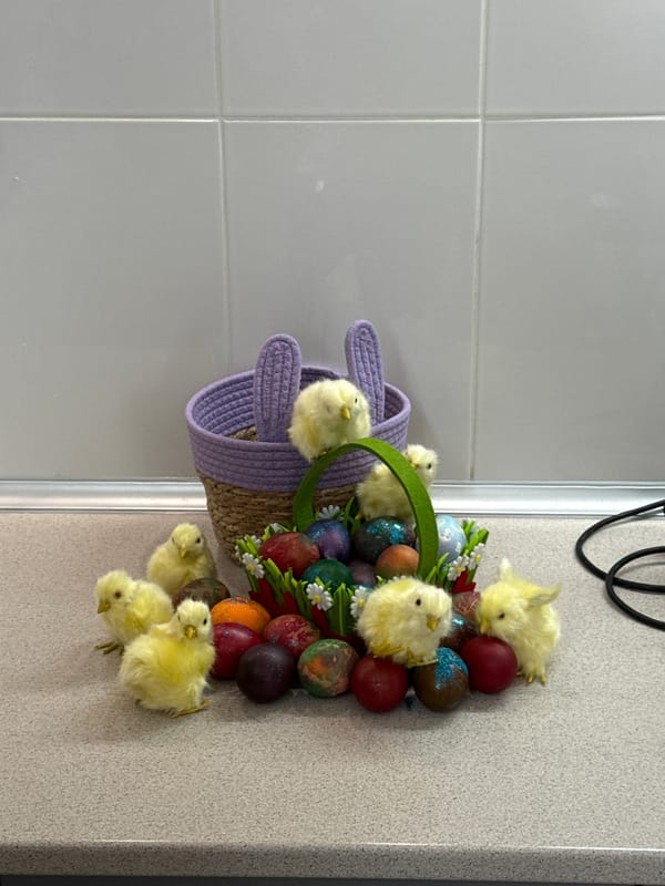 Easter basket spotted on counter in Varna, Bulgaria
