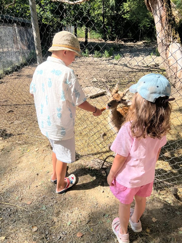 Afternoon at a small animal park in Holubyne, Ukraine