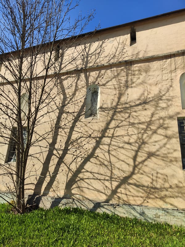 Spring blooms captured in historic Pushkin, Russia