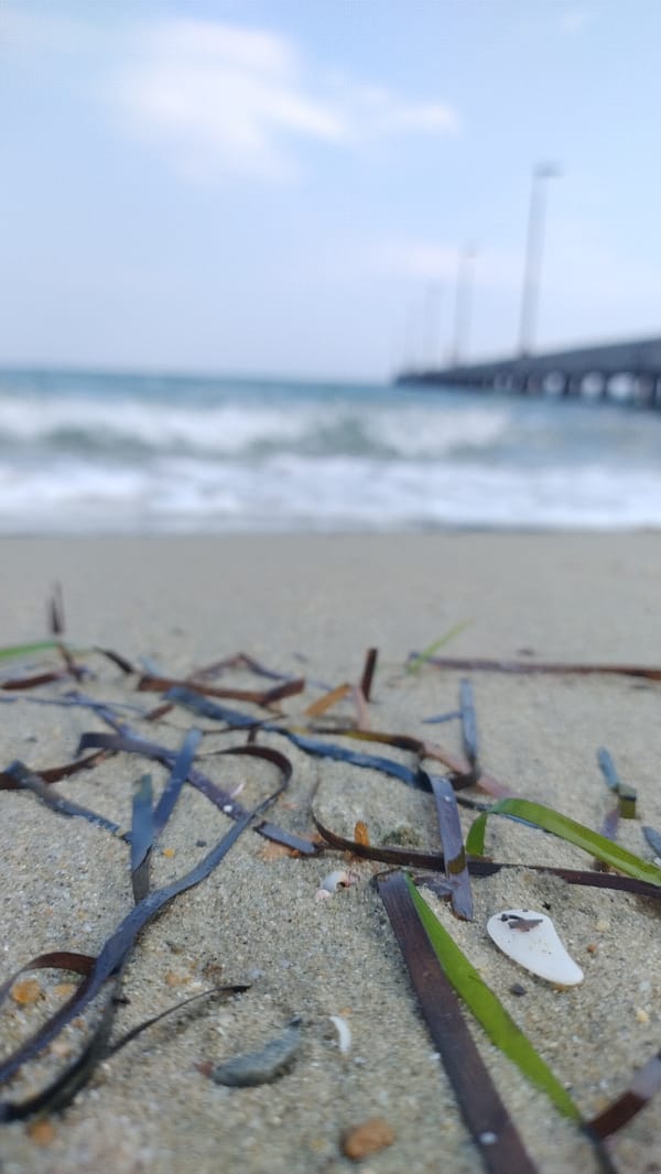 Morning at Perea beach: pier, coastline, and calm summer sea