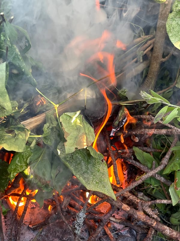 Garden waste fire burning in Tallinn, smoke and flames close up