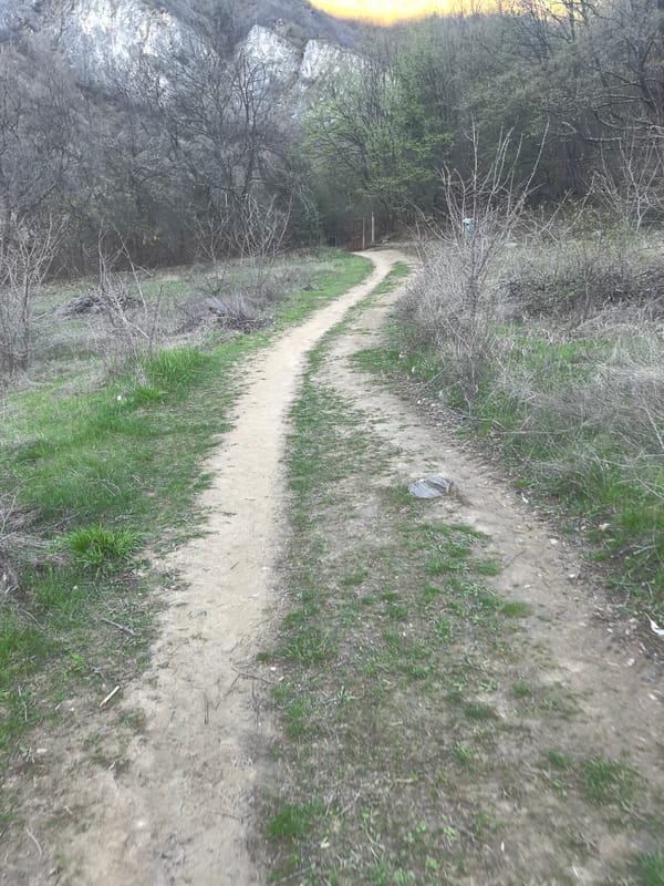 Spring woodland path documented with bare trees, emerging grass