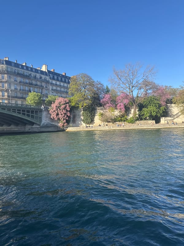 Sunny afternoon captured along Seine River in central Paris