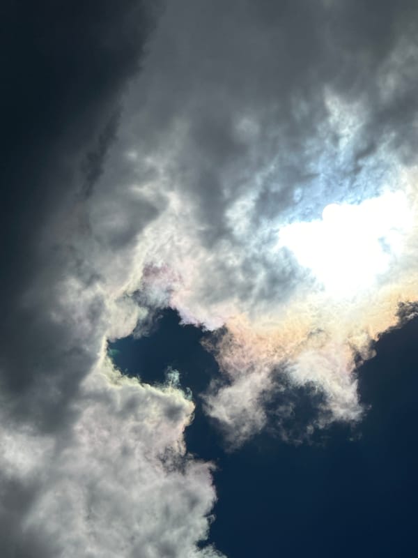 Dramatic morning skies and a lazy cat at home