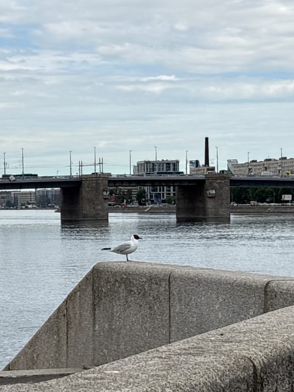 River life documented along Neva near St. Petersburg