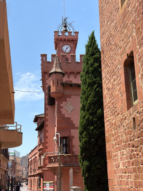Skateboarding session among blooming jacarandas in historic Viladecans