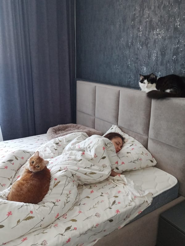 Domestic life documented in Russian apartment: cats, fish tank, sleeping residents