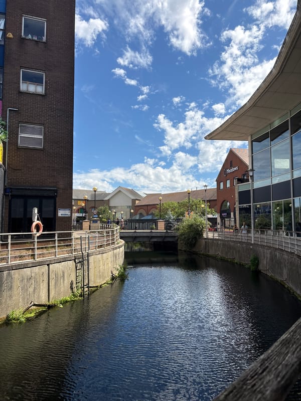 Canal walk through urban greenery with wildlife and street details